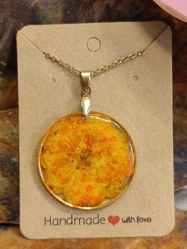 LILLY 059