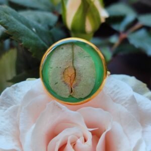Anillo con base ajustable DORADA con UNA HOJA DE OLMO encapsulada en resina