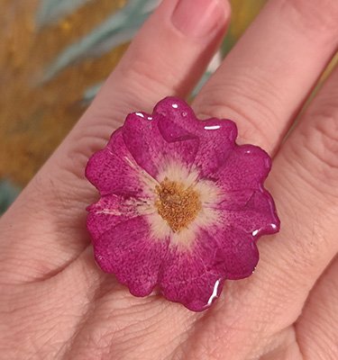 Categoría de anillos