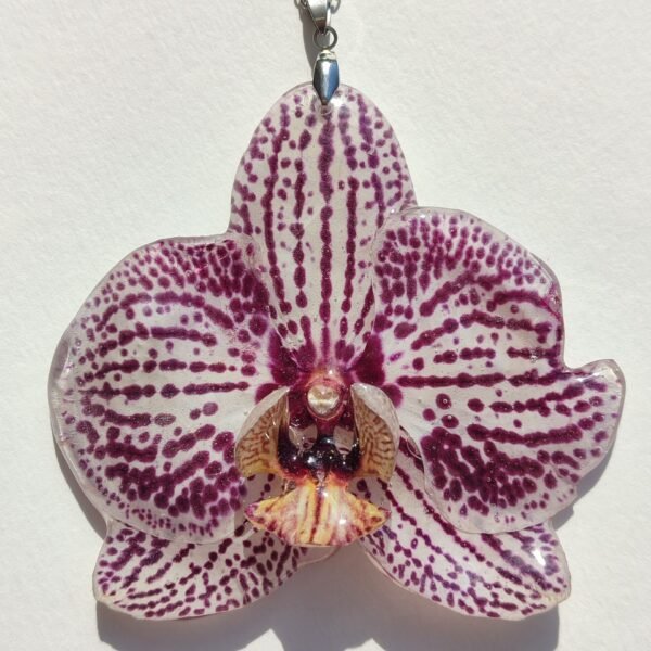 Colgante con UNA FLOR REAL DE ORQUÍDEA encapsulada en resina.
