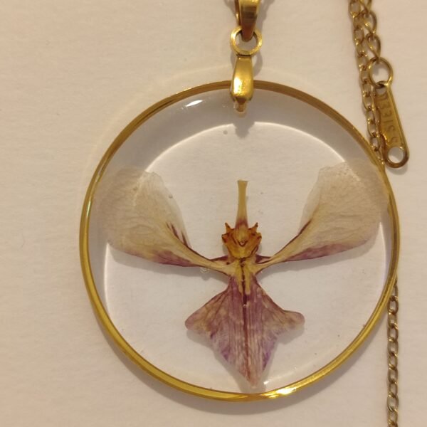 Corazón de Orquídea